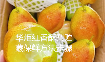 一种红香酥梨贮藏保鲜方法步骤