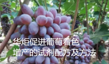 一种促进葡萄着色增产的试剂配方及方法
